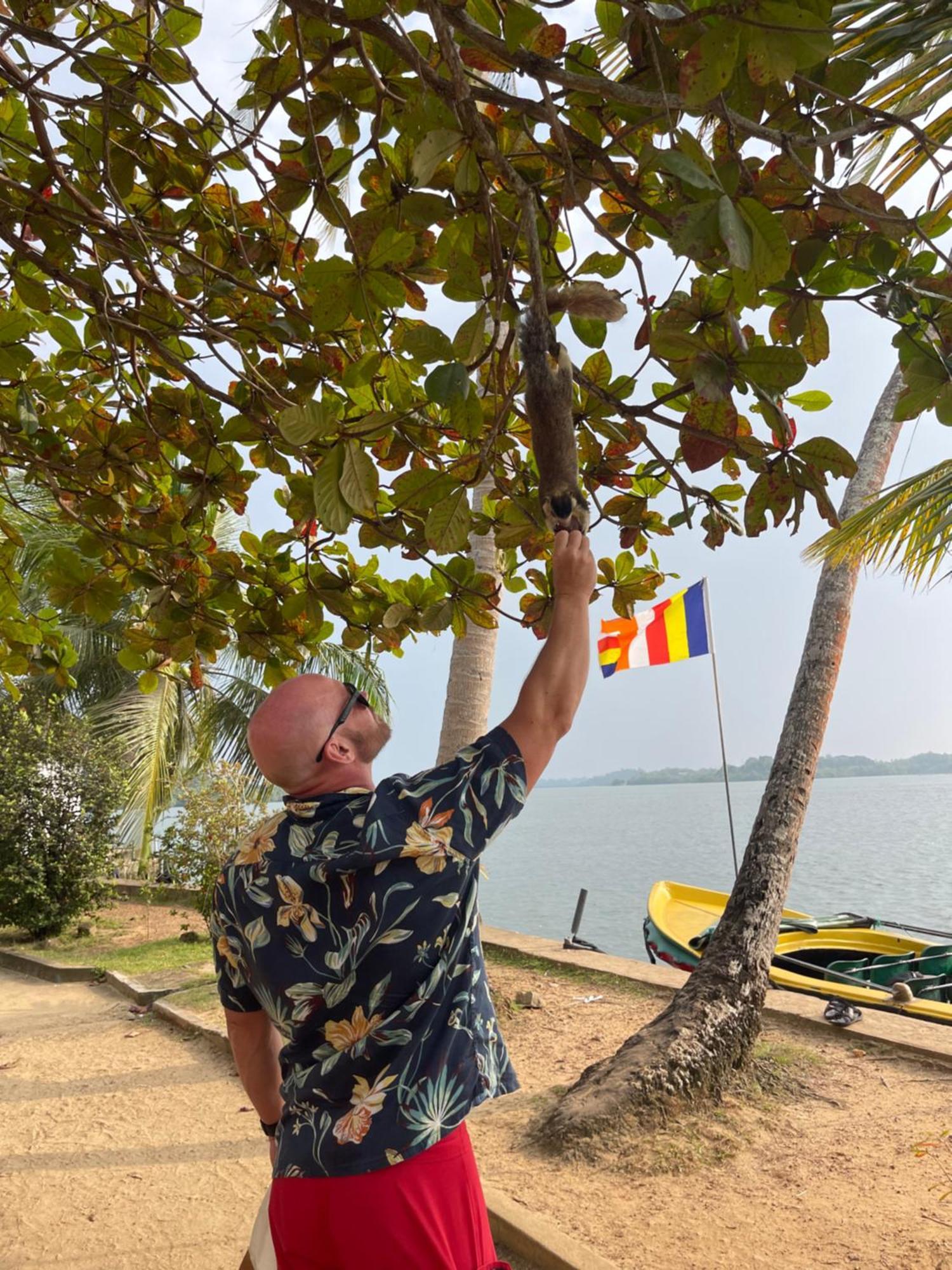 Blue Maalu Resort Ambalangoda  Ngoại thất bức ảnh